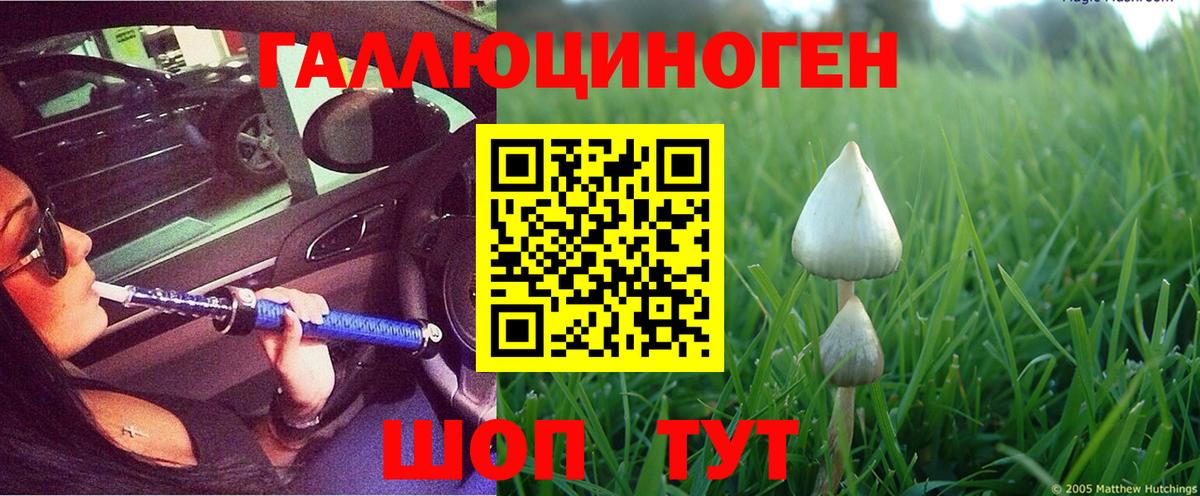 Псилоцибиновые грибы Psilocybine cubensis Нижний Новгород