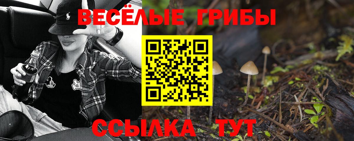 Галлюциногенные грибы Psilocybe  Галлюциногенные грибы мицелий  Нижний Новгород  где купить наркотик  Вход с VPN 